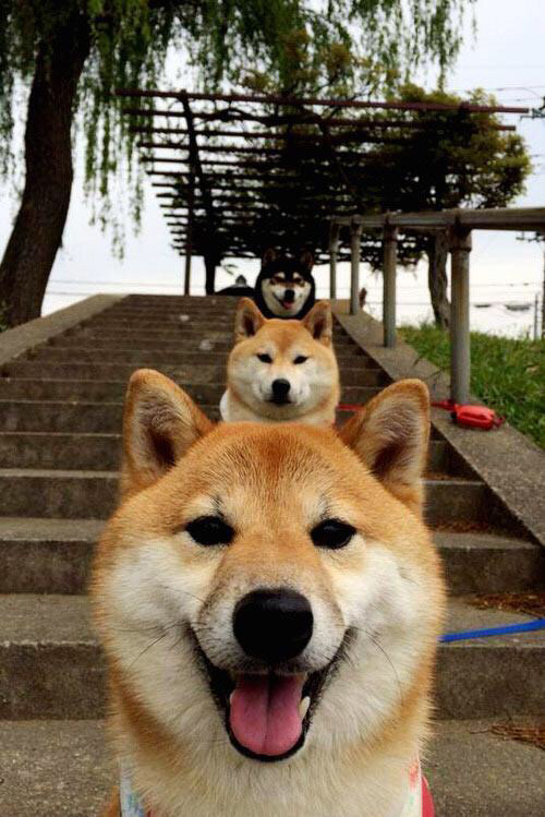 拉梅洛空砍40+三双，孙铭徽压哨三分助广厦险胜76人