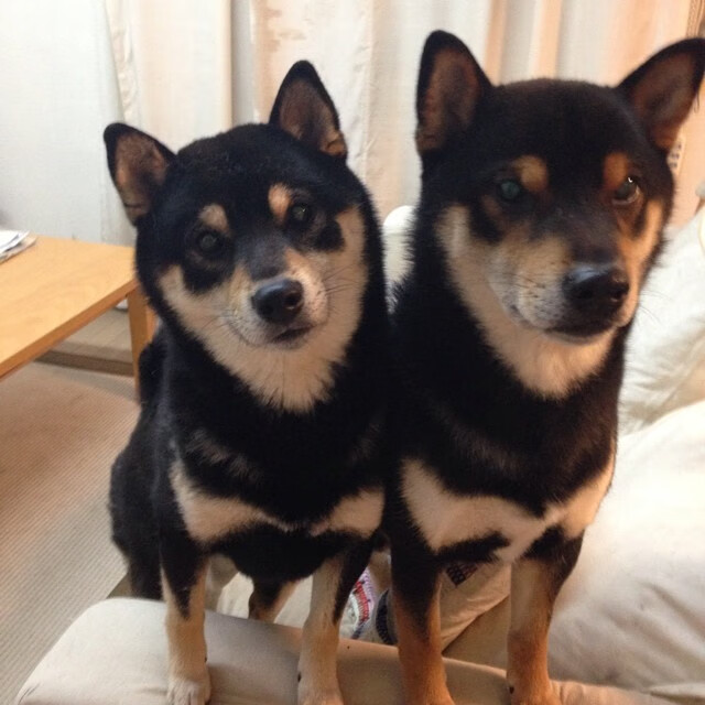 坚冰焚烈焰，世界杯最小国如何用战术与灵魂掀翻欧洲红魔