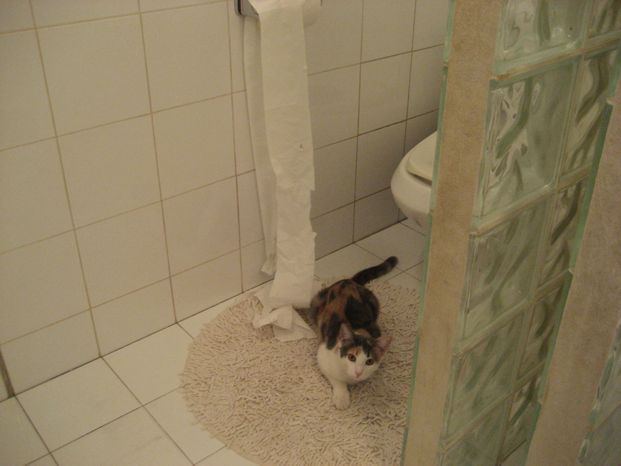 魔术踏平鹈鹕，范弗利特东决封神，1米83的巨人，如何接管终极战场？