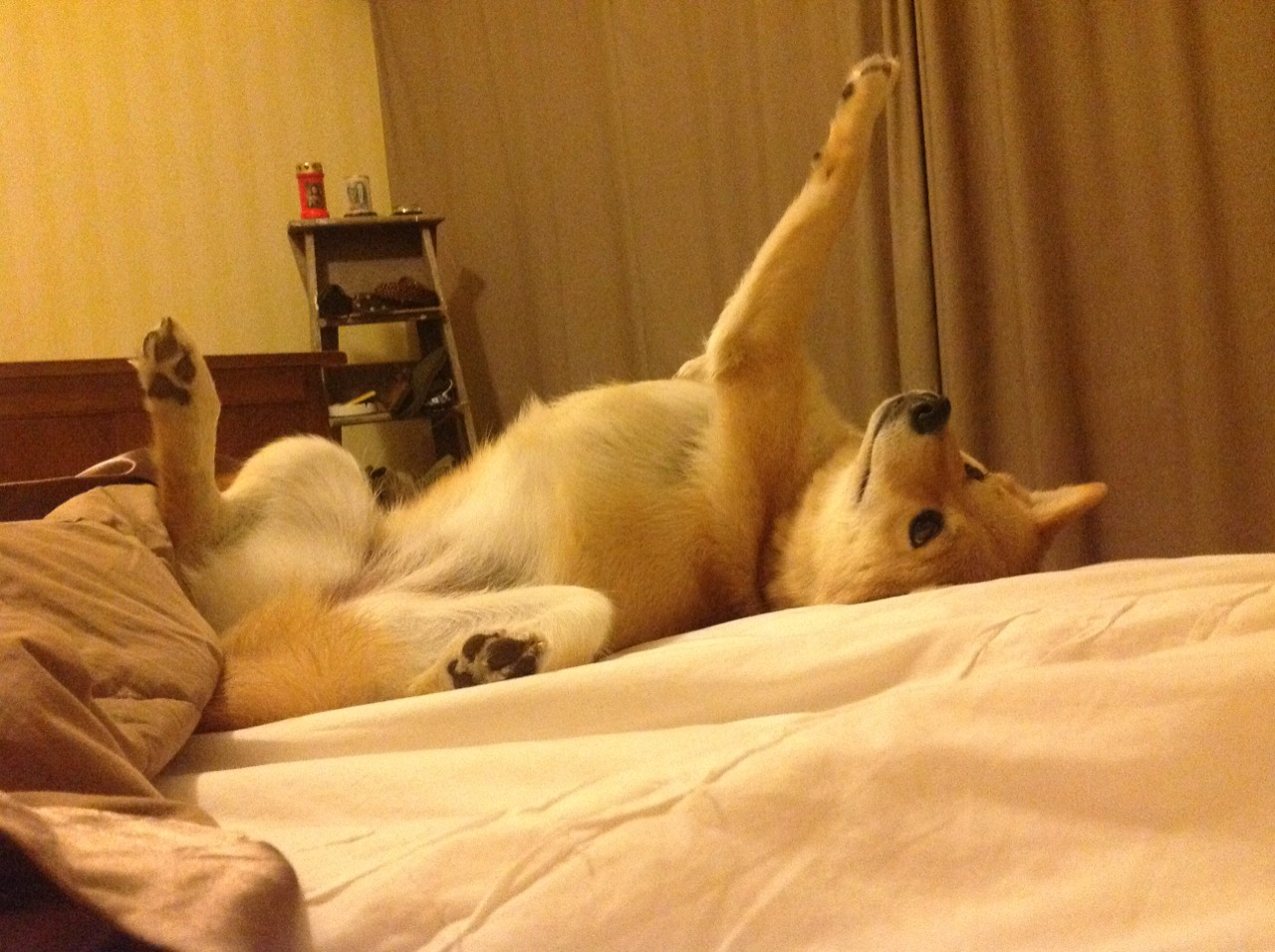 恩比德统治力炸裂！赛后评分拉满诠释何为联盟第一中锋