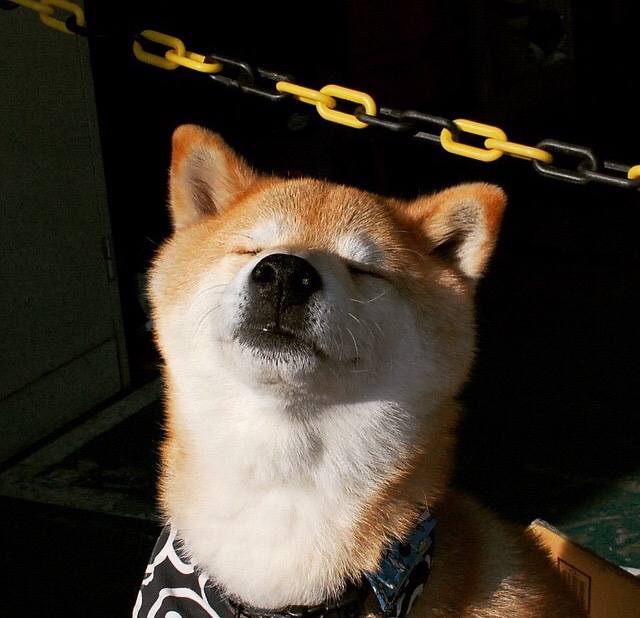 九游娱乐网页-制胜狂澜！浙江队连续得分压制广厦，东决巅峰对决尽显锋芒