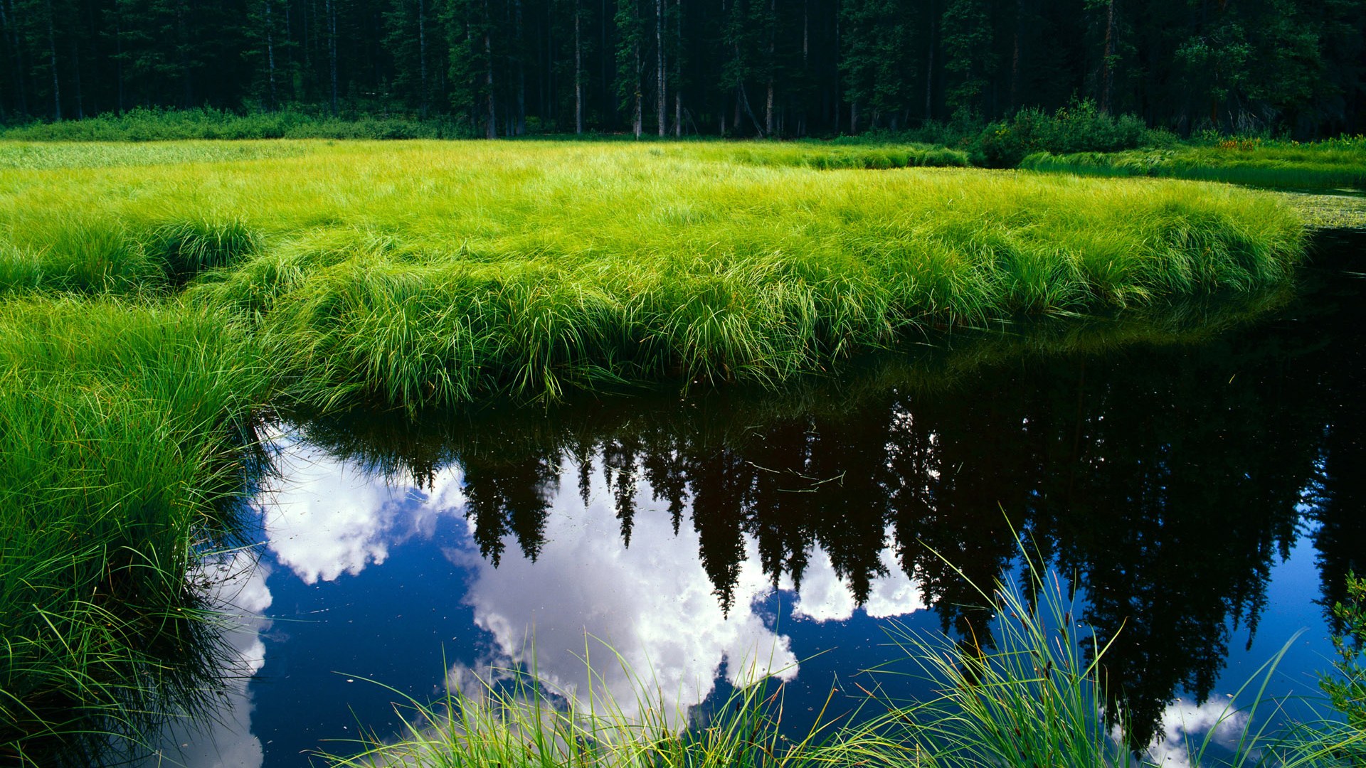 制胜狂澜！浙江队连续得分压制广厦，东决巅峰对决尽显锋芒