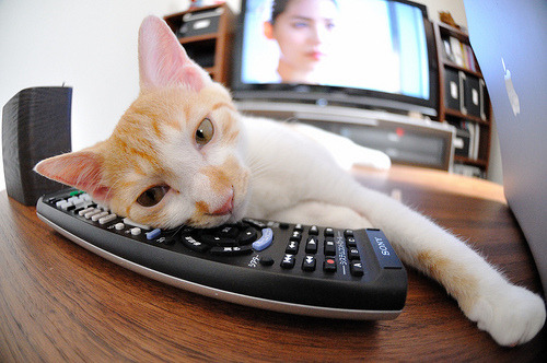 锡安凿穿钢铁防线,公牛末节奇迹逆转广厦!