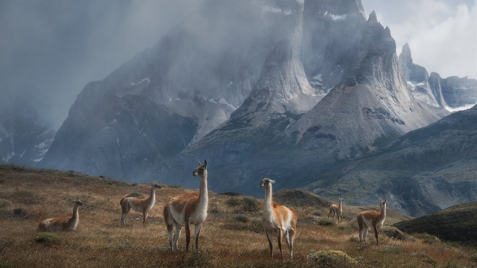 九游体育直播-一球定江山，阿坎吉如何用石破天惊的进球，书写德甲争冠夜最震撼传奇