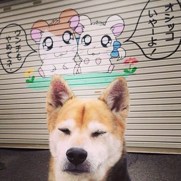 冰冻的熔岩，哥斯达黎加的战术铁幕与拉什福德的孤星时刻—足球世界的两极启示