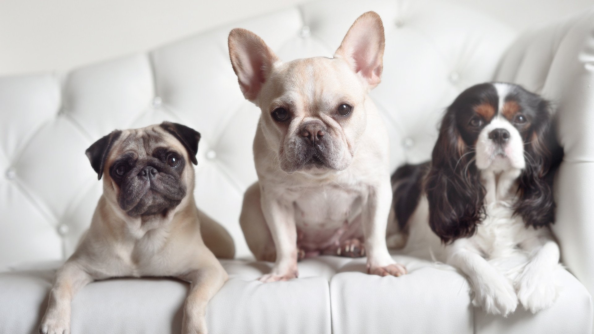 冰冻的熔岩，哥斯达黎加的战术铁幕与拉什福德的孤星时刻—足球世界的两极启示